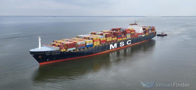 MSC Ludovica